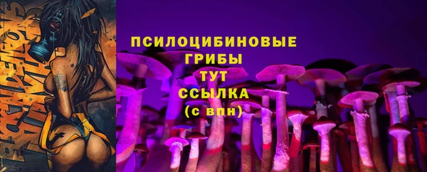 тгк Костерёво