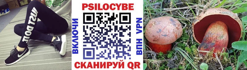 omg маркетплейс  Козловка  Псилоцибиновые грибы прущие грибы 